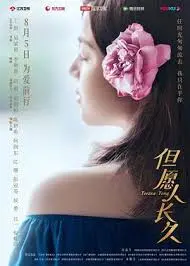 《但愿人长久》影评：跨越时空的羁绊，漂泊者的命运之歌与家的渴望