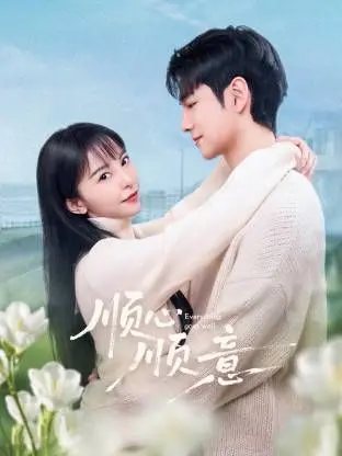 《顺心顺意》影评：笑泪交织的人生百味，愿你也能找到属于自己的顺心意！