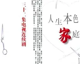 爱与责任的交织：《人生本色·家庭篇》：触动你内心最柔软的地方
