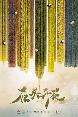 《石头开花》：一部触及灵魂的现实主义佳作，让沉默的生命绽放希望之光